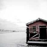 Shelter by Theo Albanis