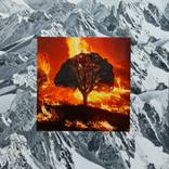FIRE AND ICE by Ira Upin