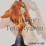 Look For Light by Toto Ryanto
