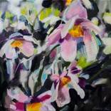 Anemone Japonica by Nataša Bezić