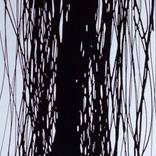 Black Lines #3 by Rob van Heertum