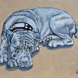 BACCO by Claudio Barake
