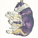 BULL  TERRIER  MATERNITY by Claudio Barake