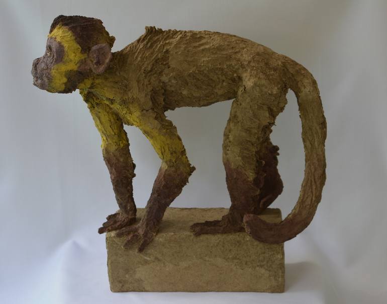 CURIOUS CAPUCHIN, Solid Recycled Cardboard - Print