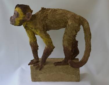 CURIOUS CAPUCHIN, Solid Recycled Cardboard thumb