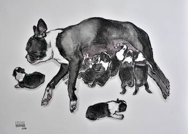 Print of Animal Drawings by Claudio Barake