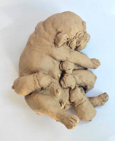 ENGLISH BULLY MATERNITY CLAY STUDY thumb