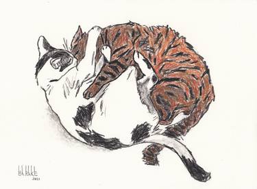 Print of Cats Drawings by Claudio Barake