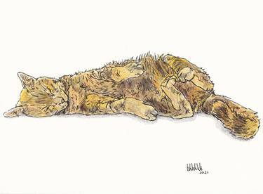 Original Expressionism Animal Drawings by Claudio Barake