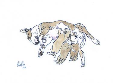 Print of Animal Drawings by Claudio Barake