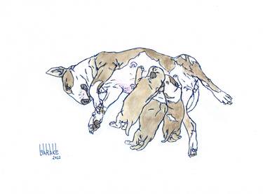 Print of Impressionism Animal Drawings by Claudio Barake