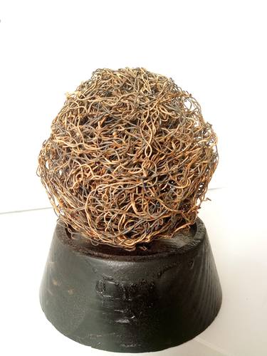 Original Nature Sculpture by Mennato Tedesco