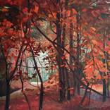 The Forest by Rachel Campbell