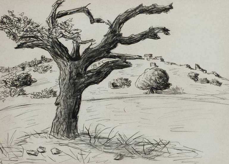 Old Oak Tree Drawing By Amit Bar Saatchi Art