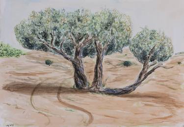 Olive trees thumb