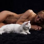 Collection PUSSYCATS