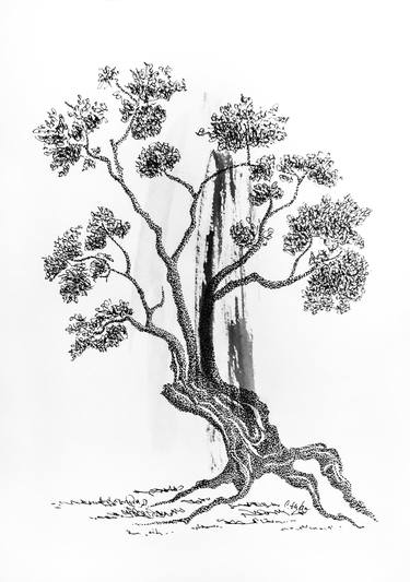 Print of Tree Drawings by Cristina Stefan