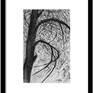 Tree in turbulence - example in a frame