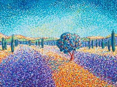 Lavender fields in Provence thumb