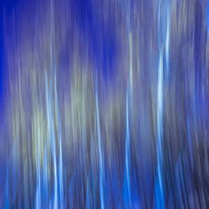 Collection ICM photography
