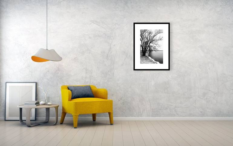 Original Tree Photography by Cristina Stefan