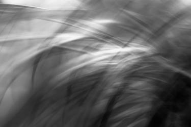 Flow - Abstract Black and White photography - Limited Edition of 10 thumb