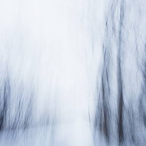 Collection Country Spotlight: Canada