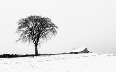 Original Realism Landscape Photography by Cristina Stefan