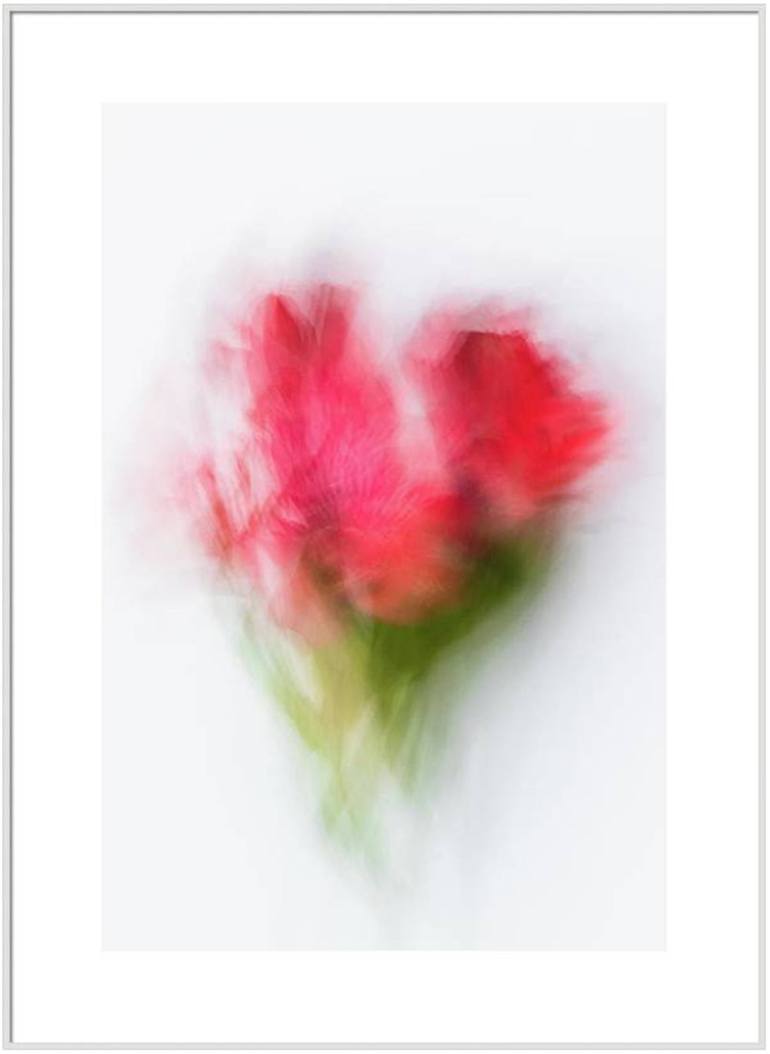 Original Abstract Floral Photography by Cristina Stefan