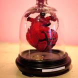 SOLD..anatomical heart n°1.. by kaizer modo