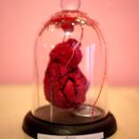 SOLD..heart 2.. by kaizer modo