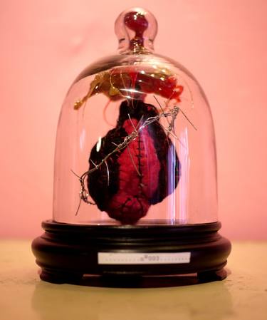 SOLD..anatomical heart n°3.. thumb