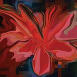 Single Bloom 2 - Limited Edition 1 of 10 by Rabi Khan