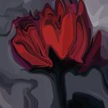 Single Bloom  5 - Limited Edition 1 of 10 by Rabi Khan