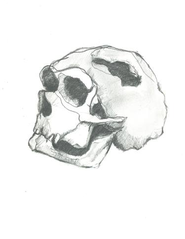 Print of Documentary Mortality Drawings by Richard Rossetto