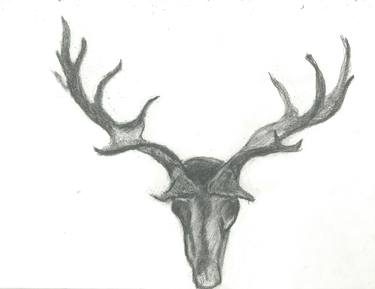 Original Nature Drawings by Richard Rossetto