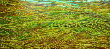Alghe ( River Seaweeds) no2 thumb