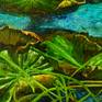 Detail 5