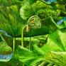 Detail 2