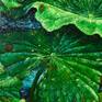 Detail 3