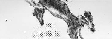 Original Fine Art Animal Drawings by Tibor Lazar