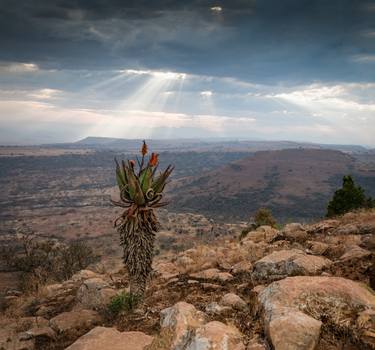 Original Documentary Landscape Photography by Jan du Toit