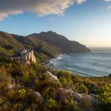 Mountain Fynbos - Limited Edition of 50 by Jan du Toit