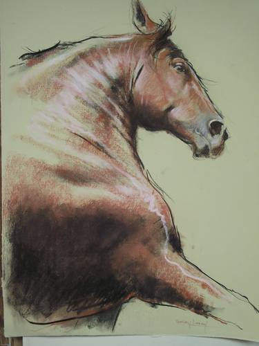 Print of Horse Drawings by Gregory Lindsay