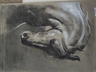 Print of Realism Horse Drawings by Gregory Lindsay