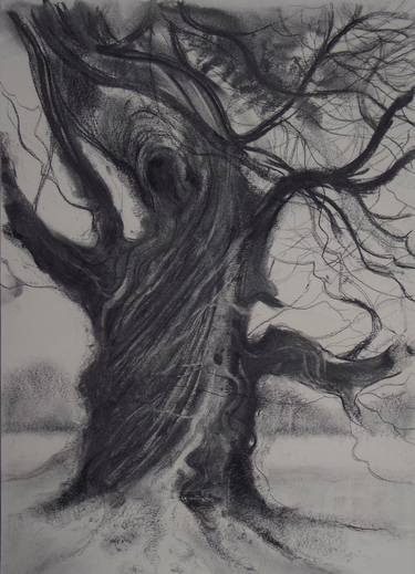 Print of Figurative Tree Drawings by Gregory Lindsay