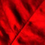 Red by Eva Wardi