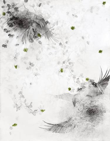 Original Nature Drawings by Tina Salvesen