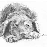 Drawing Light Movement  Pencil Drawing Tutorial: Mike Theuer