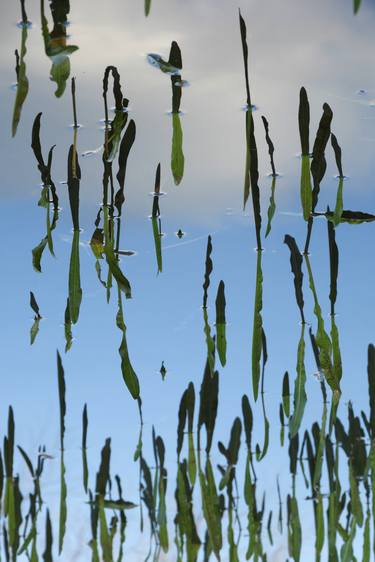 Original Abstract Photography by Haggai Ben-Yehuda